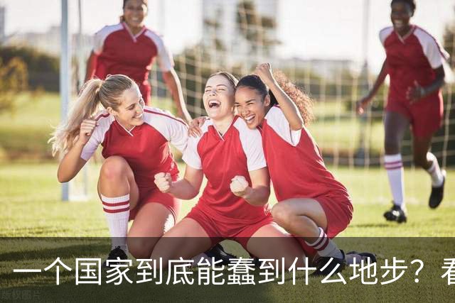一个国家到底能蠢到什么地步？看看瑞典你就知道了，三十年前，瑞典的人均GDP高达3.2万美元，可以夜不闭户，如今到处都是难民