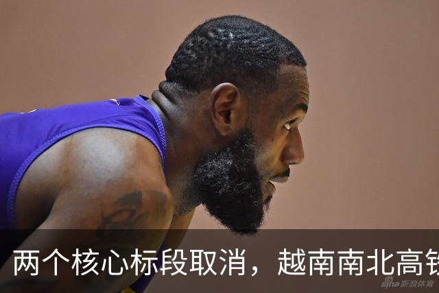 两个核心标段取消，越南南北高铁掀桌：空手套白狼没套着，恼了