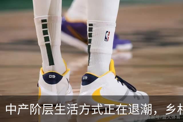 中产阶层生活方式正在退潮，乡村土味价值观正在回归