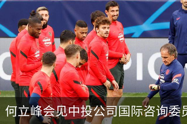 何立峰会见中投公司国际咨询委员会委员