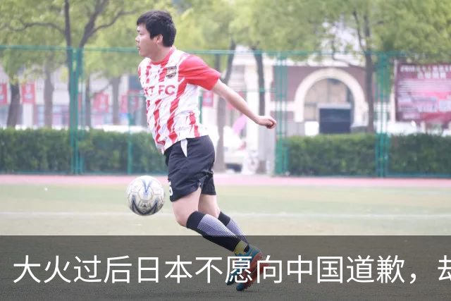 大火过后日本不愿向中国道歉，却想让美劝劝中国，给日本出口稀土