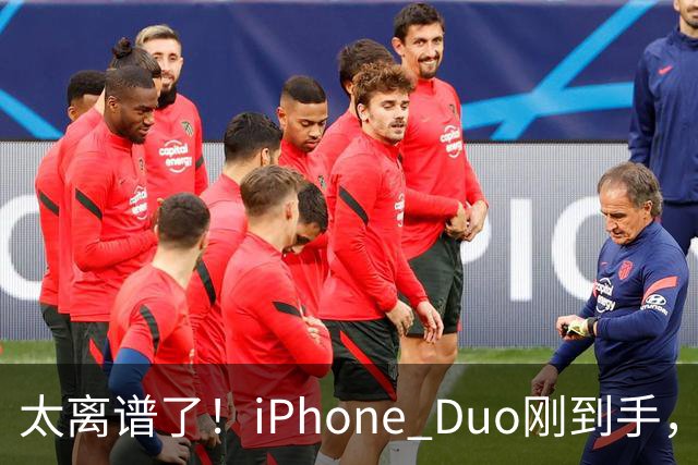 太离谱了！iPhone Duo刚到手，就突然翻车