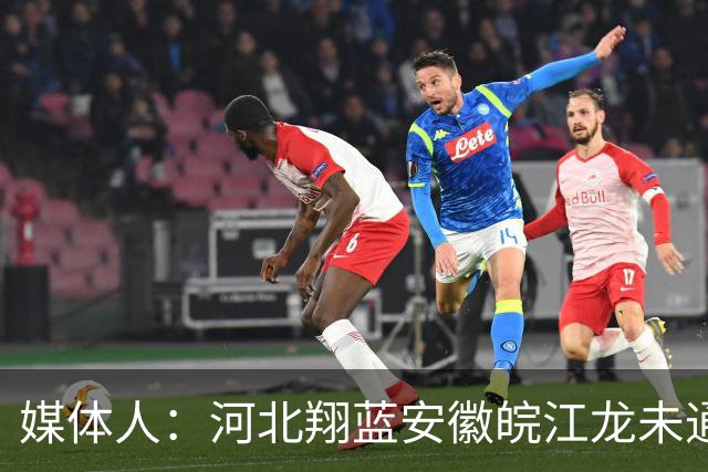 媒体人：河北翔蓝/安徽皖江龙未通过准入审查 缺席新赛季NBL