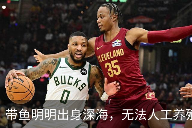 带鱼明明出身深海，无法人工养殖，为什么成了便宜的平民海鲜？