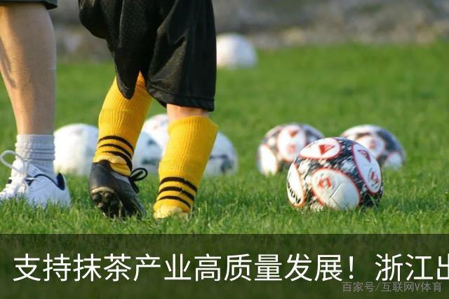 支持抹茶产业高质量发展！浙江出台10条举措