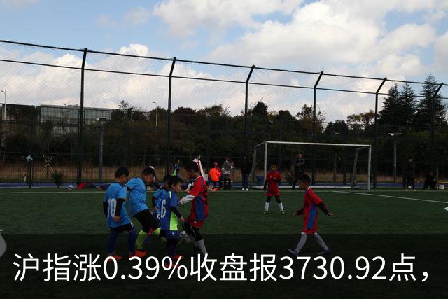 沪指涨0.39%收盘报3730.92点，成交额1.44万亿，地面兵装行业领涨