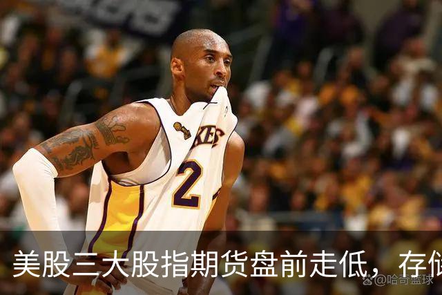 美股三大股指期货盘前走低，存储芯片、光通信集体重挫