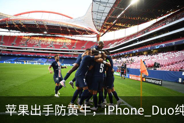 苹果出手防黄牛，iPhone Duo纯eSIM 劝退主力机用户