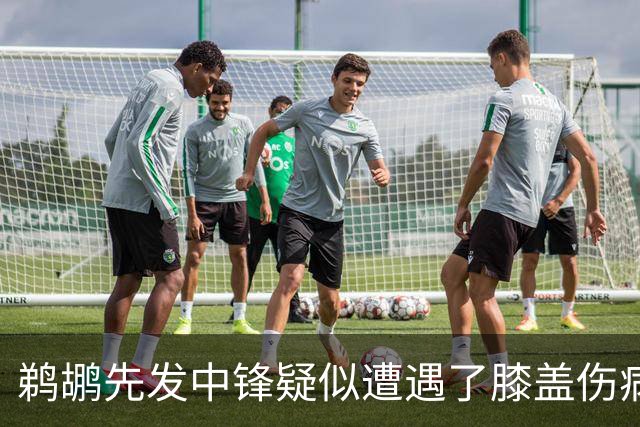 鹈鹕先发中锋疑似遭遇了膝盖伤病他可能需要长期缺阵？