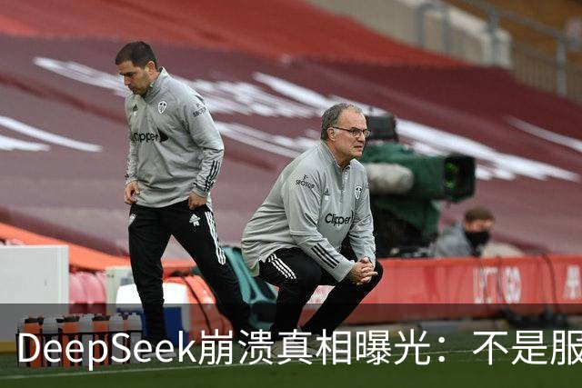 DeepSeek崩溃真相曝光：不是服务器不行，是白嫖的人太多了